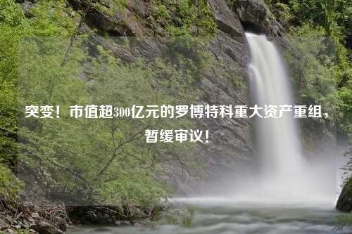 突变！市值超300亿元的罗博特科重大资产重组，暂缓审议！