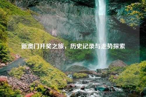 新澳门开奖之旅，历史记录与走势探索