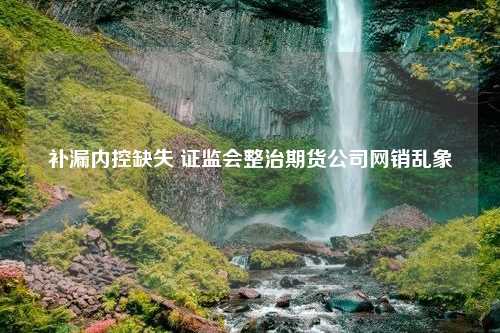 补漏内控缺失 证监会整治期货公司网销乱象